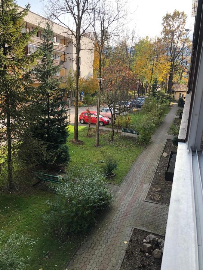 Apartament Rysowka זקופאנה מראה חיצוני תמונה